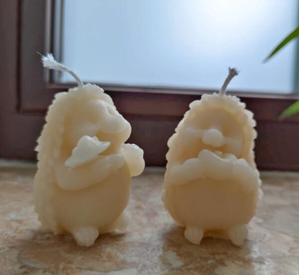 kerzengiesserei 3d Kerzen Geschenk Igel mit Glücks-Pilz, Glückspilz