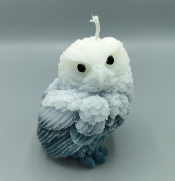 kerzengiesserei 3d Kerzen geschenk Eule Deteilgetreu