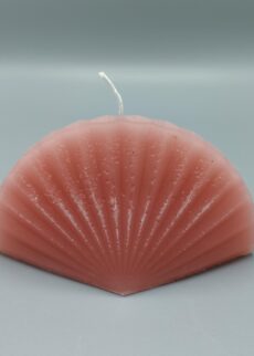 kerzengiesserei 3d Kerzen geschenk geschenkkerze Muschel muschelkerze