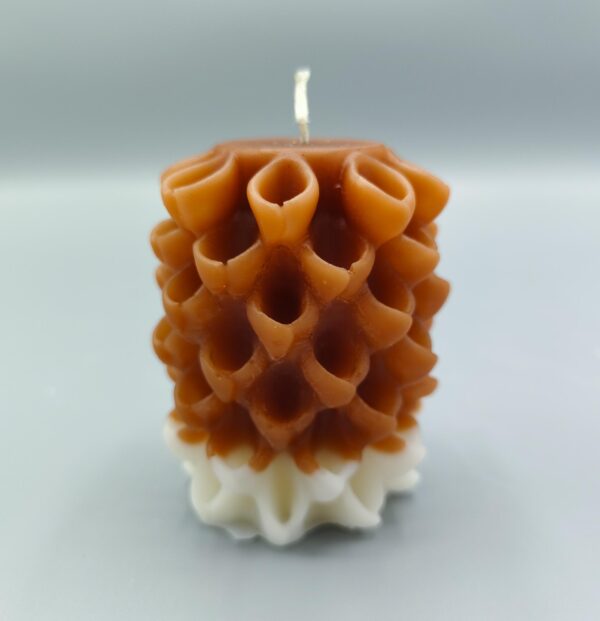 Kerzengiesserei 3d Kerzen aus Recyclingwachs Geschenk Morning Glory