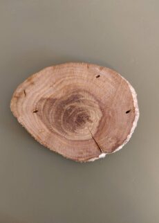 Zwetschkenholzscheibe als Kerzenteller, naturbelassen, verschiedene Breiten und Formen zur Auswahl