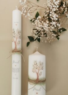 Olivenbaum Taufkerze Set