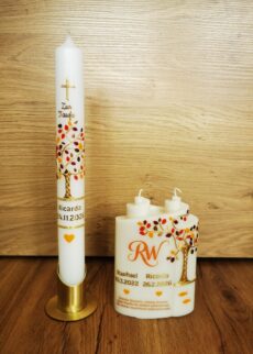 Set herbst farben orange
